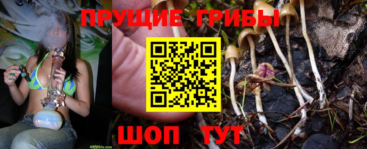 Ульяновск  Галлюциногенные грибы MAGIC MUSHROOMS  Вход с VPN 