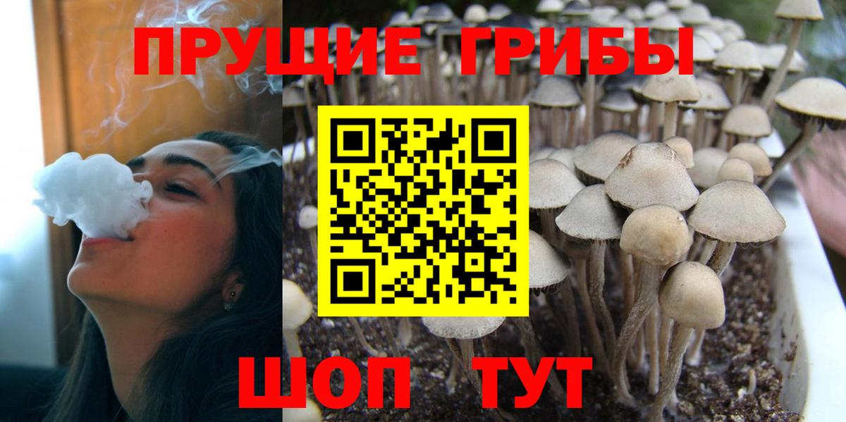 Галлюциногенные грибы Cubensis Ульяновск