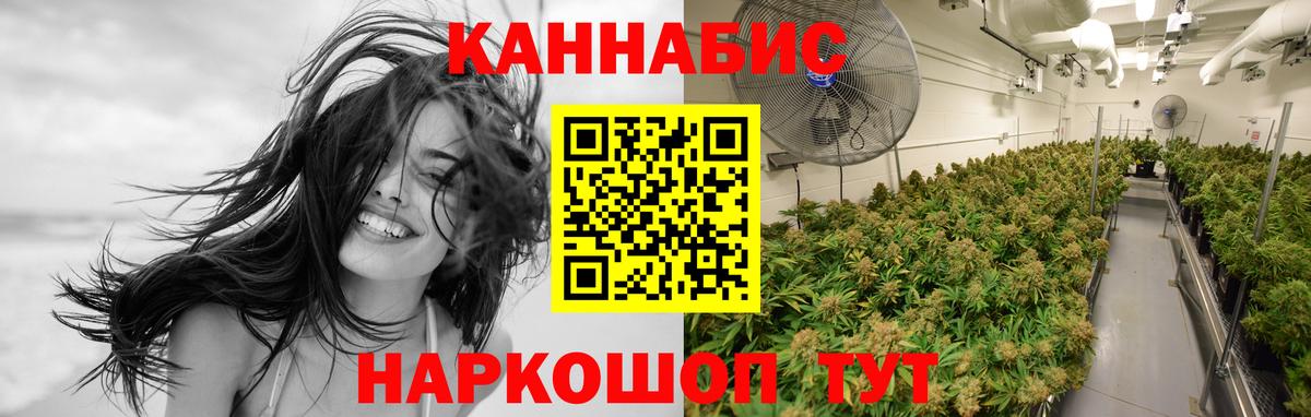 Каннабис OG Kush Ульяновск